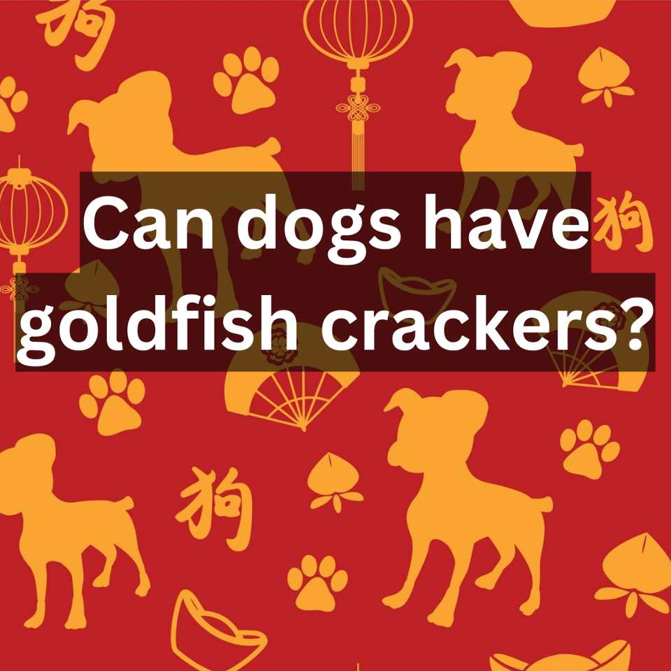 Can dogs have goldfish crackers?